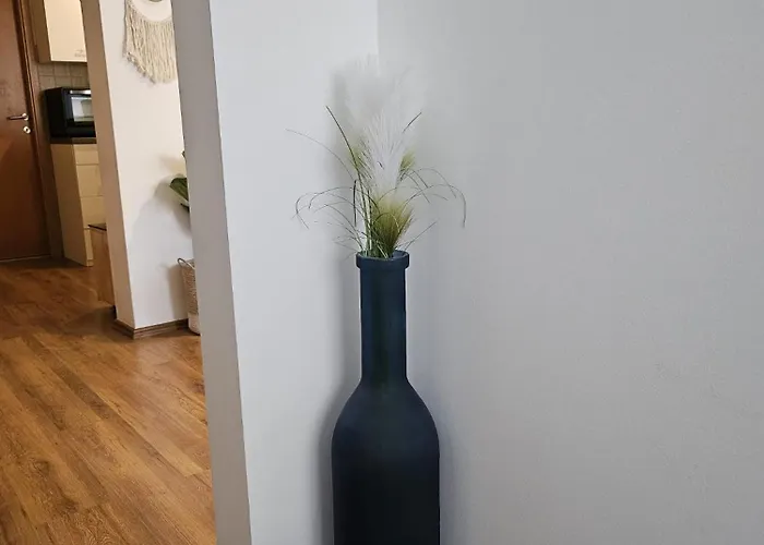 Prosecco Di *